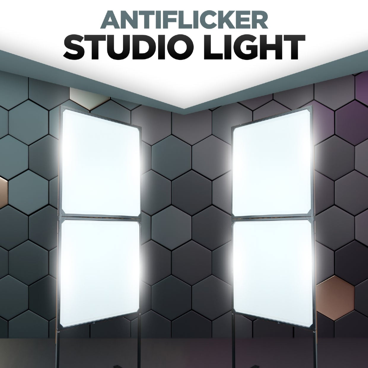 Professional Studio Lighting Setup
